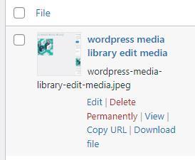 wordpress media library delete media
